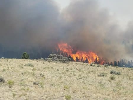 Flames rise past a ridge during efforts to contain the Spring Creek Fire in Costilla County, Colorado, U.S. June 27, 2018. Costilla County Sheriff's Office/Handout via REUTERS