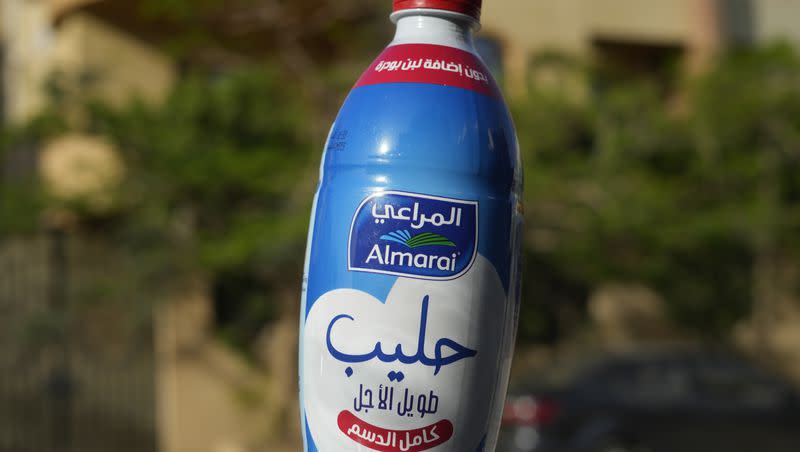 This image shows an Almarai logo in Cairo, Egypt, on Wednesday, April 26, 2023. Fondomonte Arizona, a subsidiary of Almarai Co., has for nearly a decade grown alfalfa in the American Southwest that is sent to the Gulf kingdom to feed cows there. Arizona rescinded a pair of drilling permits that would have allowed Fondomonte to pump up to 3,000 gallons of water per minute to irrigate its forage crops.