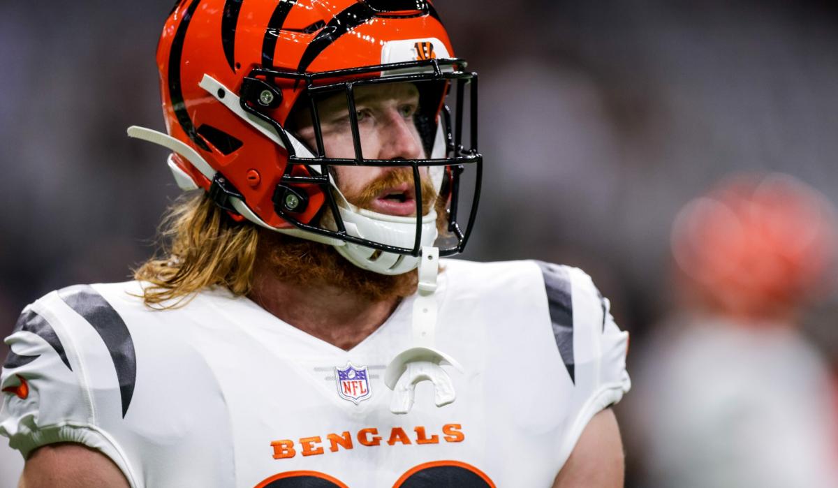 Panthers TE Hayden Hurst played with groin injury since Week 1 of