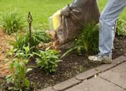 <body> <p>After you’ve finished deadheading your perennials, pulling up annuals, and trimming ornamental shrubs, consider adding a <a rel="nofollow noopener" href=" http://www.bobvila.com/slideshow/7-remedies-to-rescue-a-dying-lawn-48982?bv=yahoo" target="_blank" data-ylk="slk:layer of mulch;elm:context_link;itc:0;sec:content-canvas" class="link ">layer of mulch</a> to your flower beds. This extra blanket of warmth helps protect tender plants during the winter, increasing the chances that they'll survive until spring. While you can use a premade product like cedar mulch, consider creating your own by shredding and mulching the leaves from your lawn.</p> <p><strong>Related: <a rel="nofollow noopener" href=" http://www.bobvila.com/slideshow/7-easy-budget-friendly-backyard-makeovers-44638?bv=yahoo" target="_blank" data-ylk="slk:7 Easy Budget-Friendly Backyard Makeovers;elm:context_link;itc:0;sec:content-canvas" class="link ">7 Easy Budget-Friendly Backyard Makeovers</a> </strong> </p> </body>