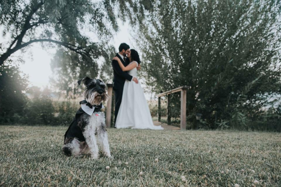 "Mackenzie and Lance married in front of all their friends and family in Huntley, Montana on Sept. 2. Charlie, their miniature schnauzer, was their ring bearer and it was perfect!" --&nbsp;<i>Tabby Miller</i>