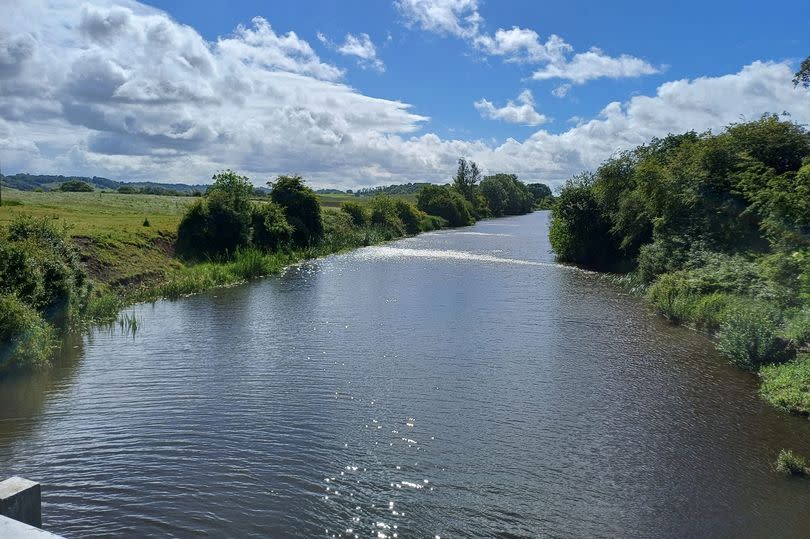 The King's Sedgemoor Drain near Bradney, looking upstream