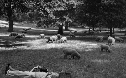 Man and beast: Green Park in 1935 - Credit: Getty