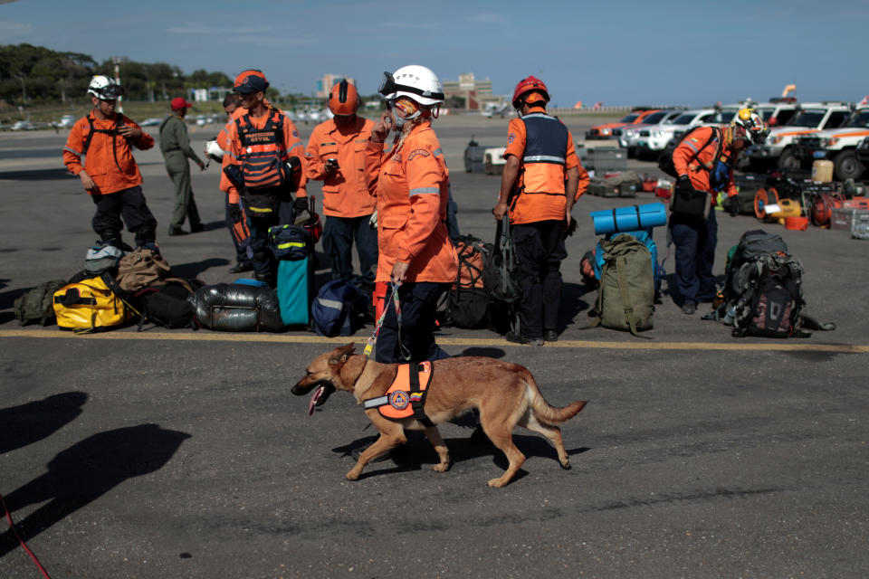 Hero dogs help rescue survivors after Mexico City quake