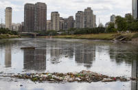 Debris floats in the Pinheiros River in Sao Paulo, Brazil, Thursday, Oct. 22, 2020. Affected by domestic sewage and solid wastes discharges for years, Sao Paulo's state government is again trying to clean the Pinheiros River, considered one of the most polluted in Brazil. (AP Photo/Andre Penner)