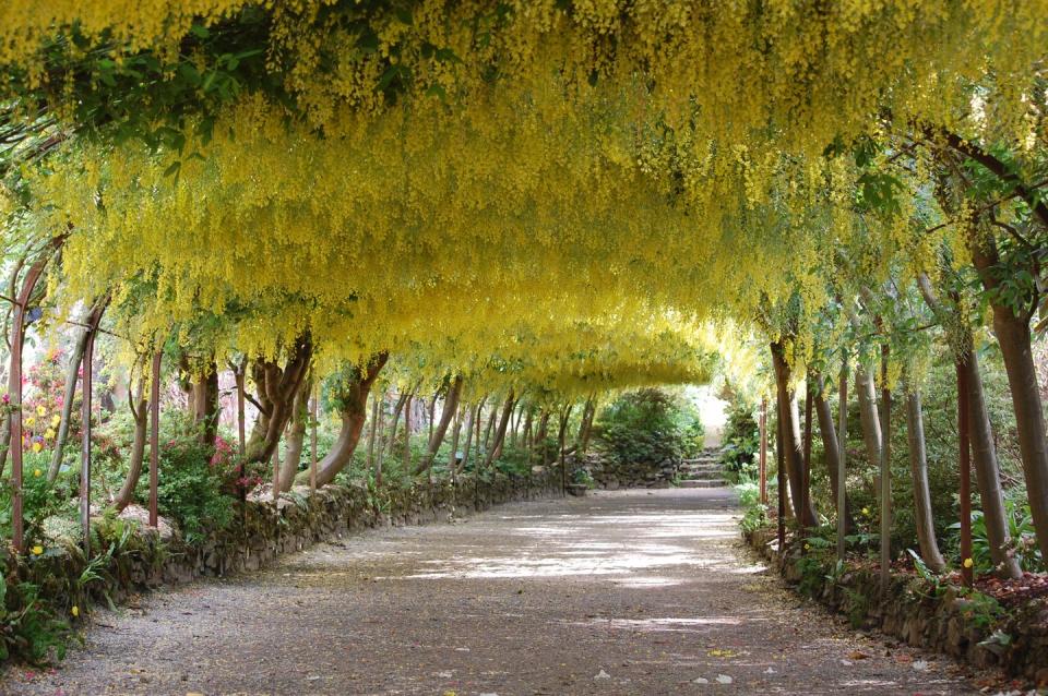 4) Discover the magical gardens of North Wales with Joe Swift