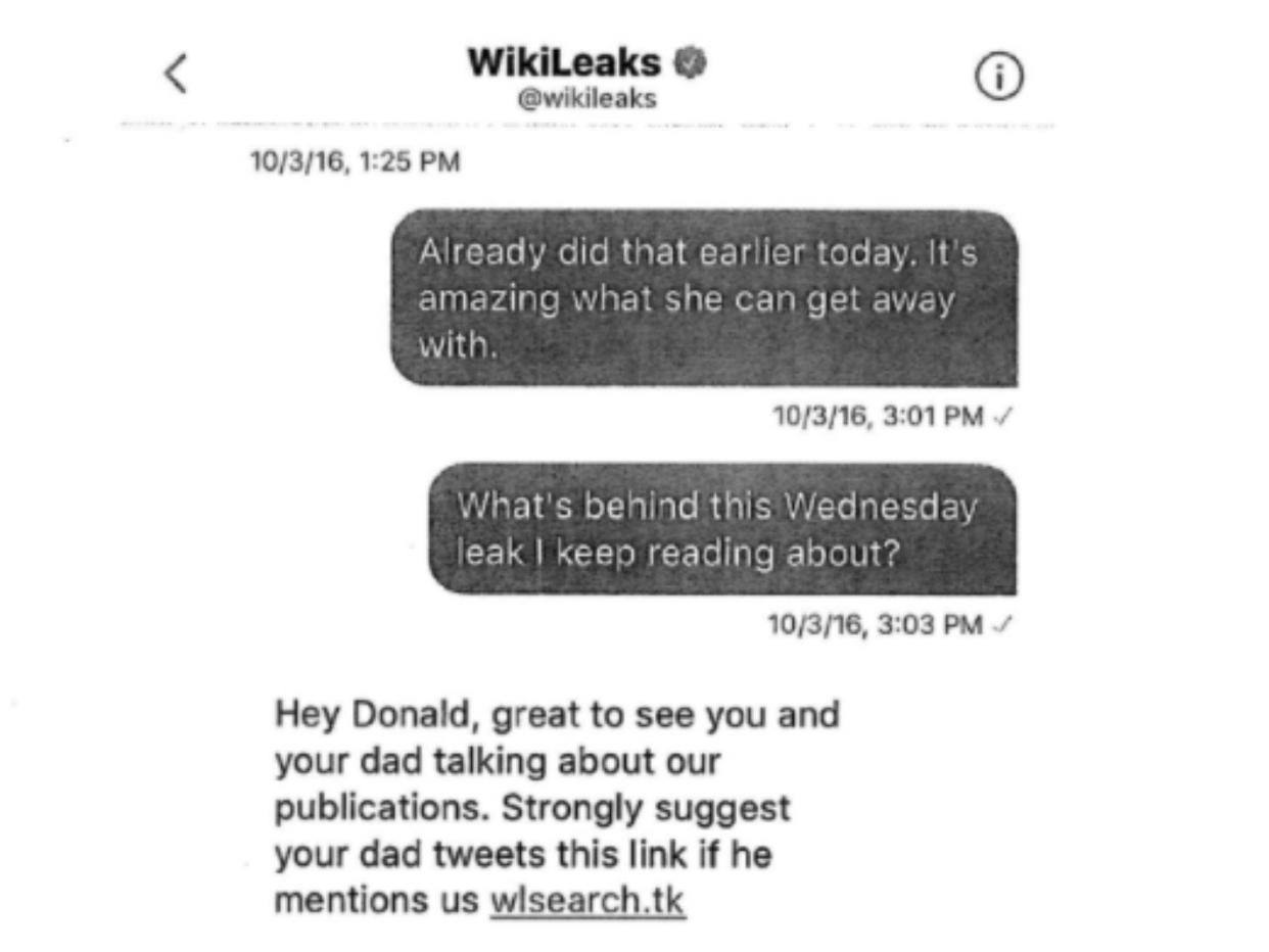 A screenshot from part of Donald Jr and Wikileaks' correspondence: Twitter