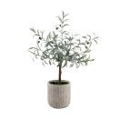 <p>Put your gardening gloves away, as this faux olive tree is the perfect low-maintenance addition to any outdoor space. Taking inspiration from an Italian olive grove, this tree comes in a neutral ceramic planter, complete with a woven texture around the outside.</p><p><a class="link " href="https://www.tesco.com/groceries/en-GB/buylists/mrs_hinch/mrs-hinch" rel="nofollow noopener" target="_blank" data-ylk="slk:SHOP THE RANGE;elm:context_link;itc:0;sec:content-canvas">SHOP THE RANGE</a></p>