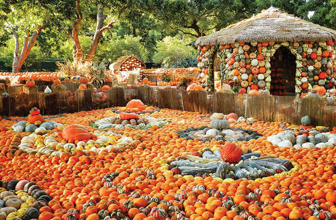 Autumn At The Arboretum