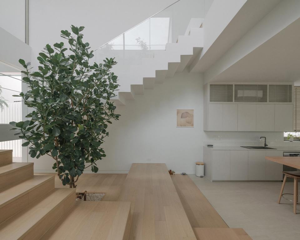 Floating steps rise past leafy branches in this skylit stairwell designed by Anonym Studio.
