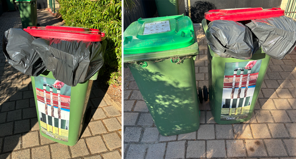 Overflowing bins in the City of Bayswater LGA. 