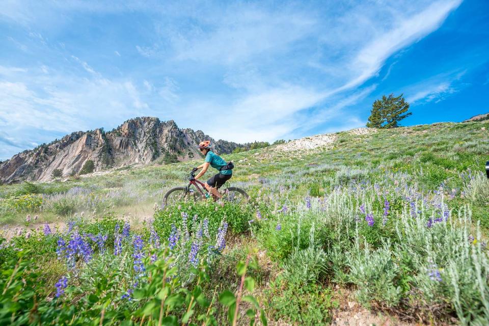 Mountain biking at Snowbasin, Utah