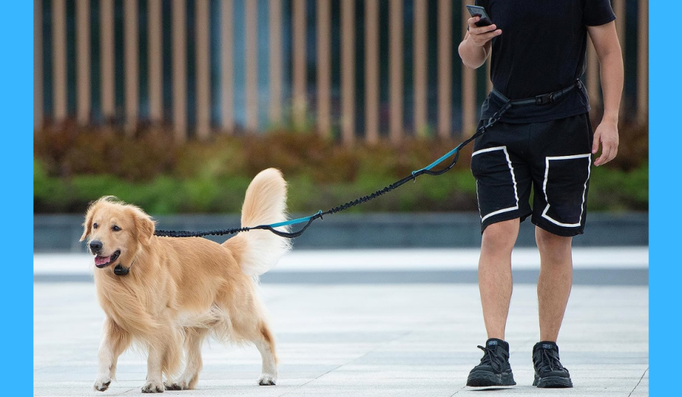 someone walking a dog with the hands-free dog leash