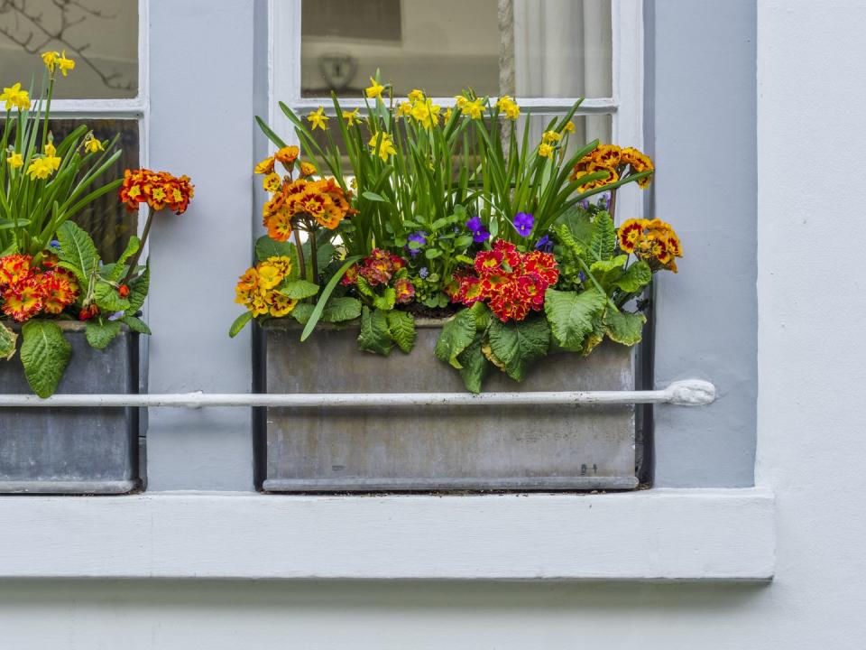 window boxes