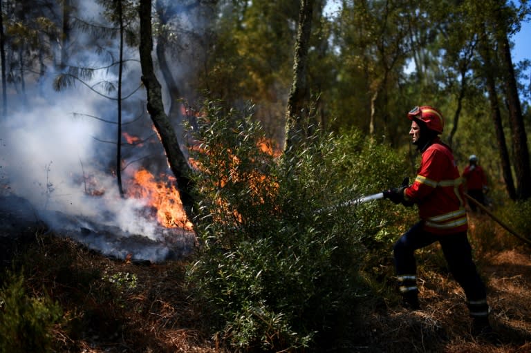 After an uncommonly dry winter and spring, almost 79 percent of the Portuguese mainland was enduring extreme or severe drought at the end of July