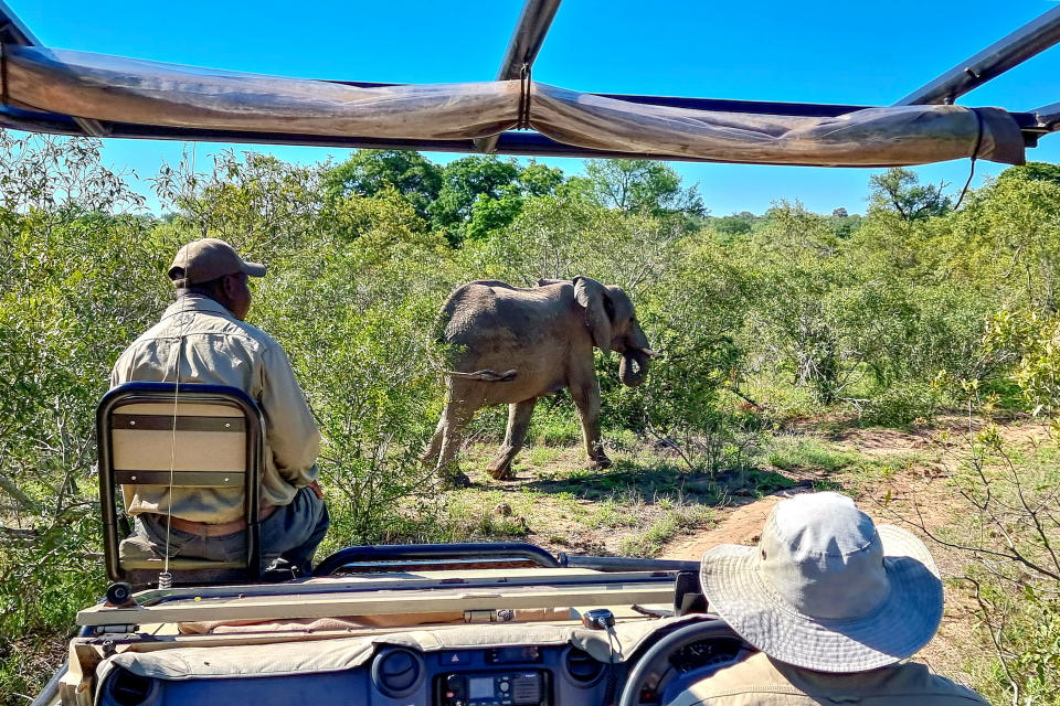 El turismo en Sudáfrica vuelve a estar en peligro por esta nueva variante. (Photo by David Silverman/Getty Images)