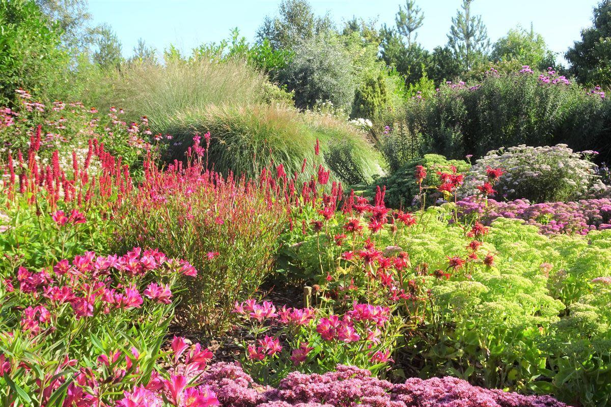 Breezy Knees Gardens in Warthill is 25-years-old this year <i>(Image: Supplied)</i>