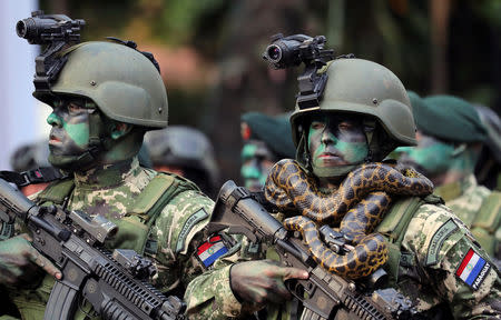 Members of Paraguayan Army's Special Forces Cavalry, one of them with a snake around his neck, walk in front of Paraguay's new President Mario Abdo Benitez (not pictured) during a military parade in Asuncion, Paraguay August 15, 2018. REUTERS/Marcos Brindicci