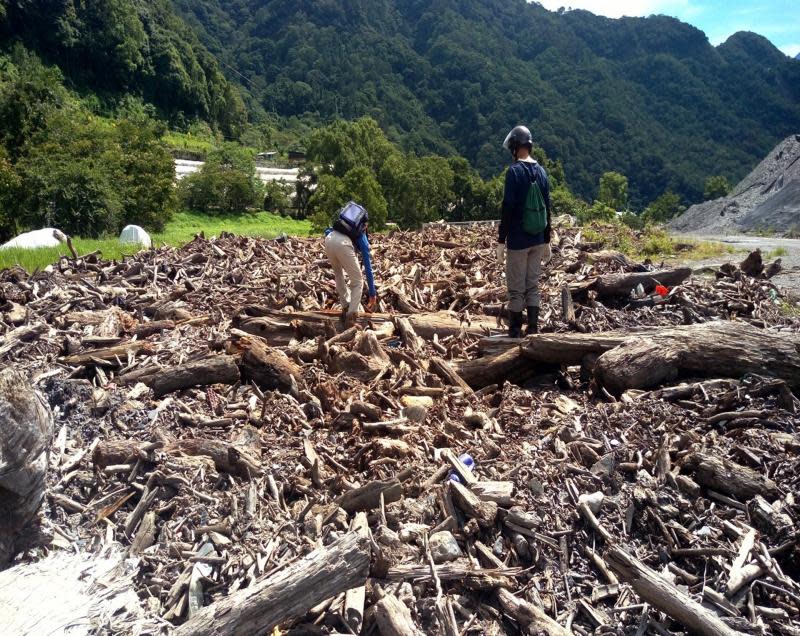 撿漂流木免擔心觸法　彰化海岸地區漂流木開放撿拾