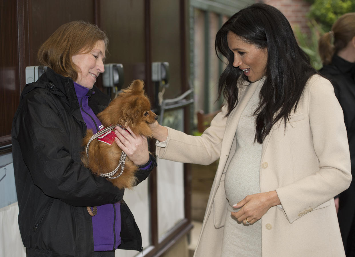 Meghan, Duchess of Sussex meets a dog named "Foxy" during her visit to the animal welfare charity Mayhew in London on January 16, 2019. - Established in 1886, Mayhew looks for innovative ways to reduce the number of animals in need through pro-active community and educational initiatives and preventative veterinary care. (Photo by Eddie MULHOLLAND / POOL / AFP)        (Photo credit should read EDDIE MULHOLLAND/AFP via Getty Images)