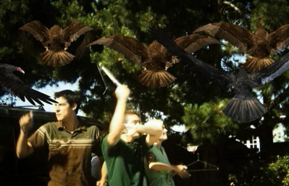 Los personajes de Birdemic son atacados por pájaros (Severin Films)