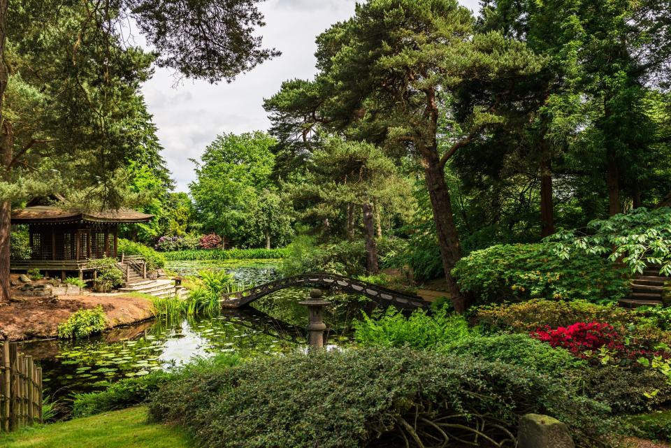 <p>This year Brits have spent more time in their gardens than ever before. And, not only do we love our own outdoor spaces, but visiting beautifully landscaped <a href="https://www.countryliving.com/uk/travel-ideas/staycation-uk/g33803892/uk-gardens/" rel="nofollow noopener" target="_blank" data-ylk="slk:gardens;elm:context_link;itc:0;sec:content-canvas" class="link ">gardens</a> is also one of our favourite pastimes. </p><p>National Trust gardens provide a scenic (and socially-distanced) day out, and their gorgeous flower gardens, manicured lawns and quaint <a href="https://www.countryliving.com/uk/homes-interiors/gardens/g33790549/solar-water-features/" rel="nofollow noopener" target="_blank" data-ylk="slk:water features;elm:context_link;itc:0;sec:content-canvas" class="link ">water features</a> also provide the perfect inspiration for anyone looking to spruce up their own outdoor area. </p><p>To help inspire both UK trips and garden renovations, <a href="https://www.ratedpeople.com/find-quotes/a?rpadc=gen1&gclid=EAIaIQobChMI8-C6maC26wIVuIBQBh2VLQAFEAAYASAAEgIsKPD_BwE" rel="nofollow noopener" target="_blank" data-ylk="slk:Rated People;elm:context_link;itc:0;sec:content-canvas" class="link ">Rated People</a> has created an index, based on how picturesque and how well-rated the gardens are, to reveal the best National Trust garden in the country. </p><p>Every National Trust garden in the UK was analysed, using both the number of Instagram hashtags and quality of Google reviews to create a unique index of the best gardens across the UK. </p><p>The research reveals that Tatton Park in Cheshire is the best National Trust garden to visit in Britain. The historical estate boasts a neo-classical mansion surrounded by landscaped gardens stretching over 50 acres. Beyond the gardens are a thousand more acres of parkland with wild deer grazing, a rare breed farm and a medieval Old Hall to explore.</p><p>Cheshire and Derbyshire are the counties with the most National Trust gardens in the top 10. Tatton Park and Lyme Park in Cheshire rank first and sixth, whilst Calke Gardens and Parklands and Hardwick Gardens and Parkland place at eighth and ninth respectively.</p><p>See the 10 best National Trust Gardens below:<br></p>