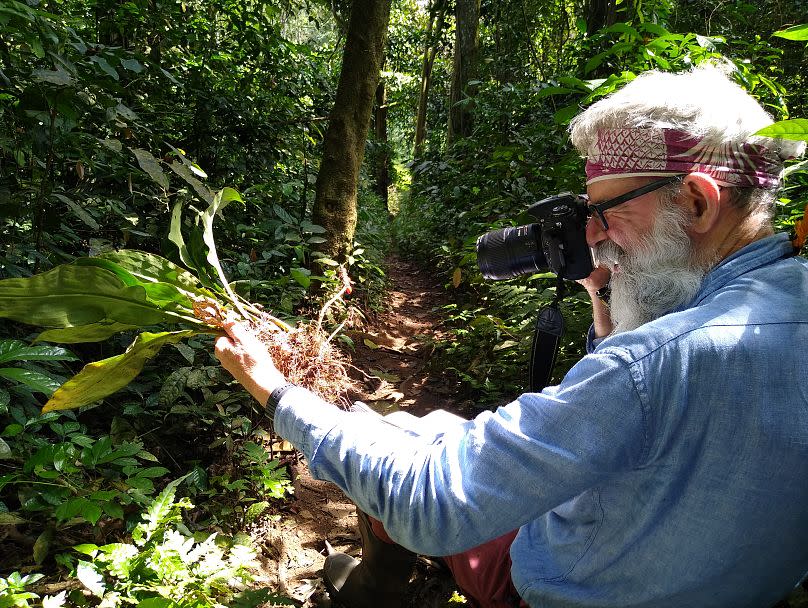 Dr Martin Cheek in Cameroon.