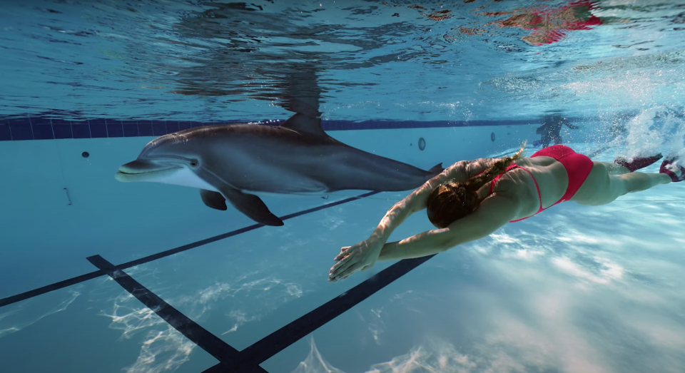This ultra-realistic animatronic dolphin may replace real ones at theme parks.