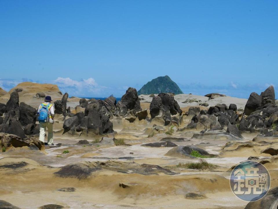 和平島獨特的地貌，透過導覽人員帶領深入其中。