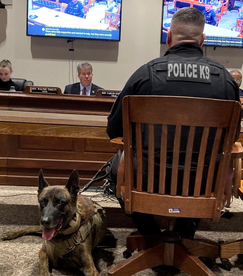 Uxbridge police dog Bear joins his partner, Police Officer Tom Stockwell, during a hearing Monday before the General Assembly's Joint Committee on Public Safety and Homeland Security.