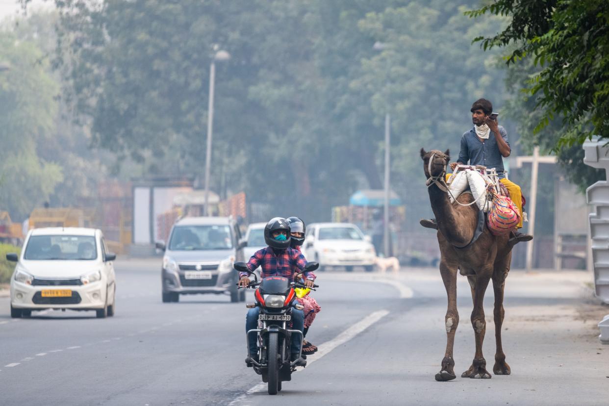 <p>A man rides his camel along a street amid smoggy conditions in Delhi on 5 November, 2020</p> (AFP via Getty Images)