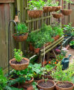 <p> Narrow garden? Look to vertical gardens. You can use old pallets or wood planks to build a shelving unit that will house several tiers of pot-grown herbs and veg. Add a few hooks at the top and hang some hanging baskets for more variety. Making use of vertical space is one of the best options if you're figuring out how to make a small garden look bigger. </p> <p> You can also buy a plant stand from Amazon and use that if you don't feel like DIYing this idea.  </p>
