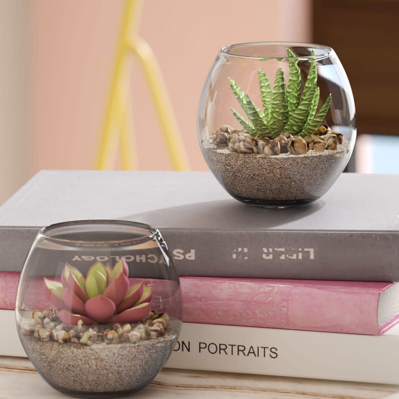 7) 2-Piece Succulent Plant Set