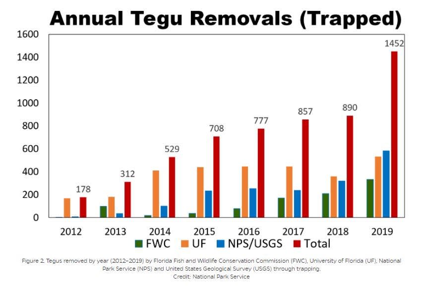 Annual Tegu Removals