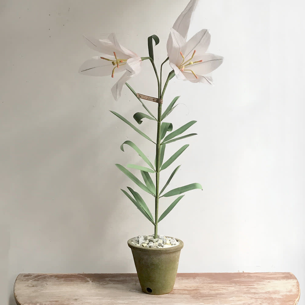 <p><a href="https://www.johnderian.com/products/the-green-vase-potted-easter-lily?_pos=18&_sid=28be72120&_ss=r" rel="nofollow noopener" target="_blank" data-ylk="slk:Shop Now;elm:context_link;itc:0;sec:content-canvas" class="link rapid-noclick-resp">Shop Now</a></p><p>The Green Vase Potted Easter Lily</p><p>johnderian.com</p><p>$600.00</p>