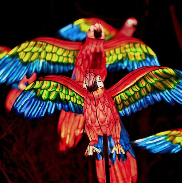 3) The Bronx, New York: Holiday Lights at the Bronx Zoo