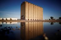 FILE PHOTO: A structure stands in the Port Lands, where Alphabet Inc, the owner of Google, is expected to develop an area of Toronto's waterfront after they announced the project "Sidewalk Toronto", using new technologies to develop high-tech urban areas i