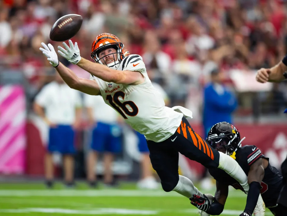 Cincinnati Bengals wide receiver Trenton Irwin dives for a pass against the Arizona Cardinals in the second half at State Farm Stadium.