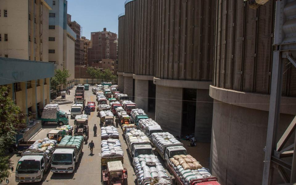 Farmers queuing at grain silos in Egypt, one of the world's biggest importers of wheat - BLOOMBERG