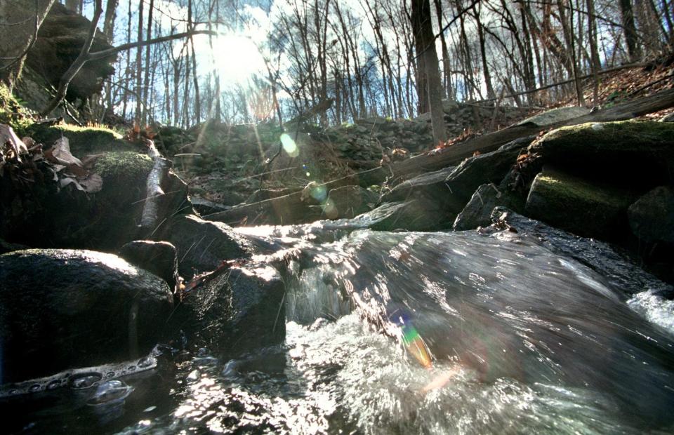 The 135-acre Lime Rock Preserve in Lincoln, also known as the Aust Family Preserve, is owned and managed by the Nature Conservancy.