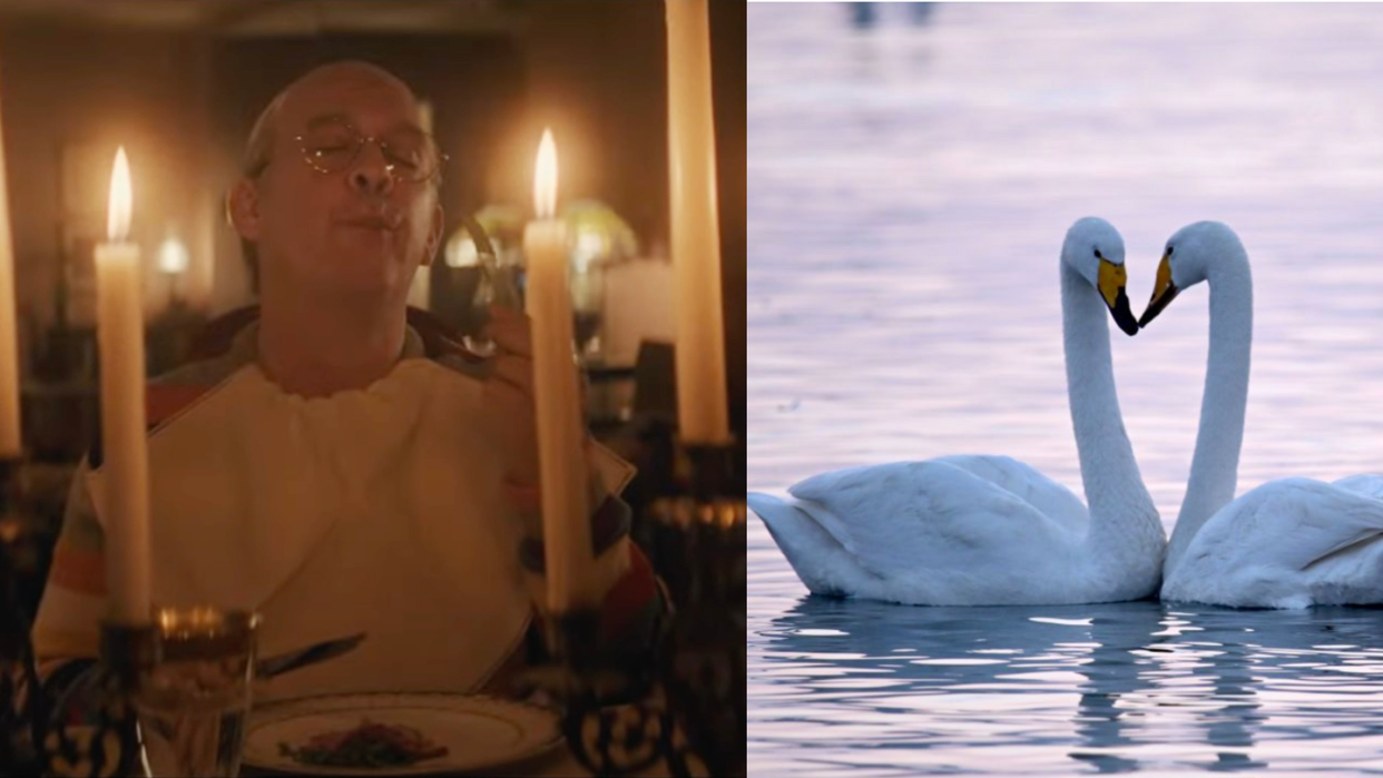 truman capote and swans