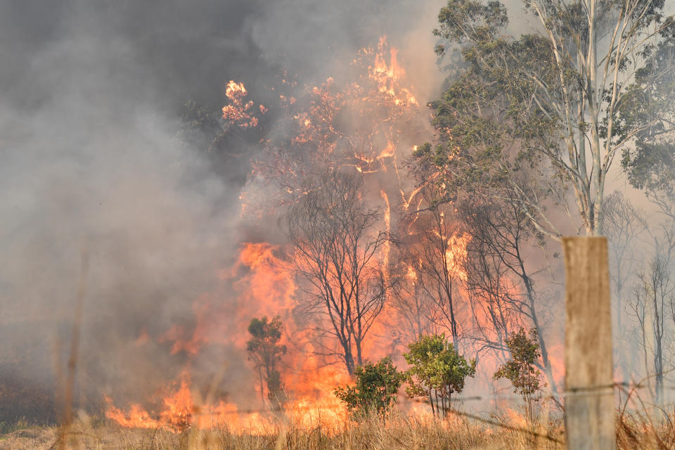 A bushfire is seen burning on Long Gully Road in the northern New South Wales town of Drake, Monday, September 9, 2019. A number of homes have been destroyed by bushfires in northern New South Wales and Queensland. (AAP Image/Darren England) NO ARCHIVING