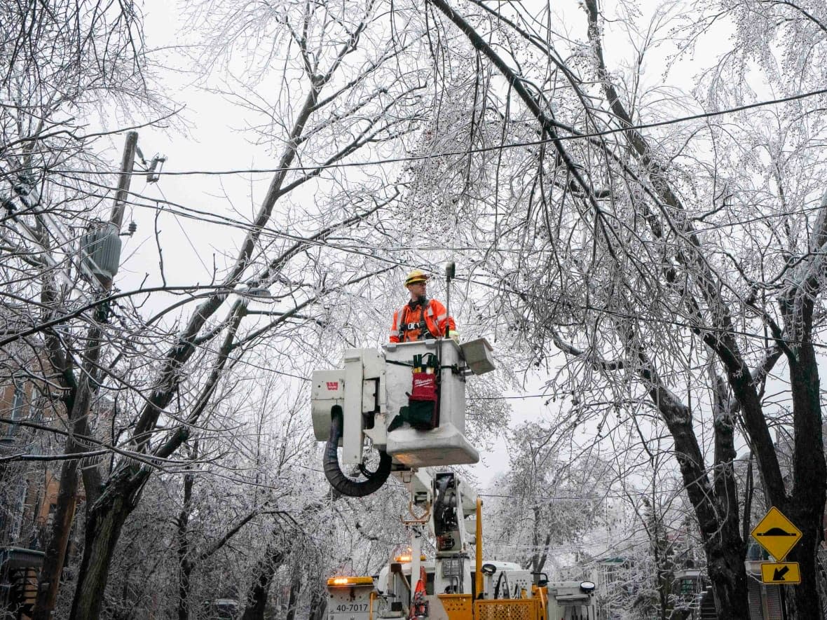 A Hydro-Québec worker helps repair downed power lines in the Rosemont neighbourhood of Montreal on Thursday. (Ivanoh Demers/Radio-Canada - image credit)