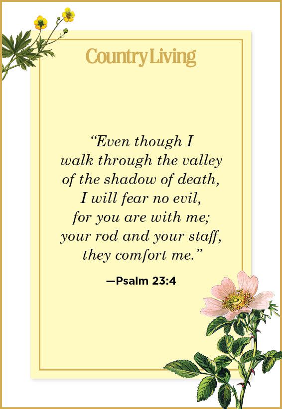 17) Psalm 23:4