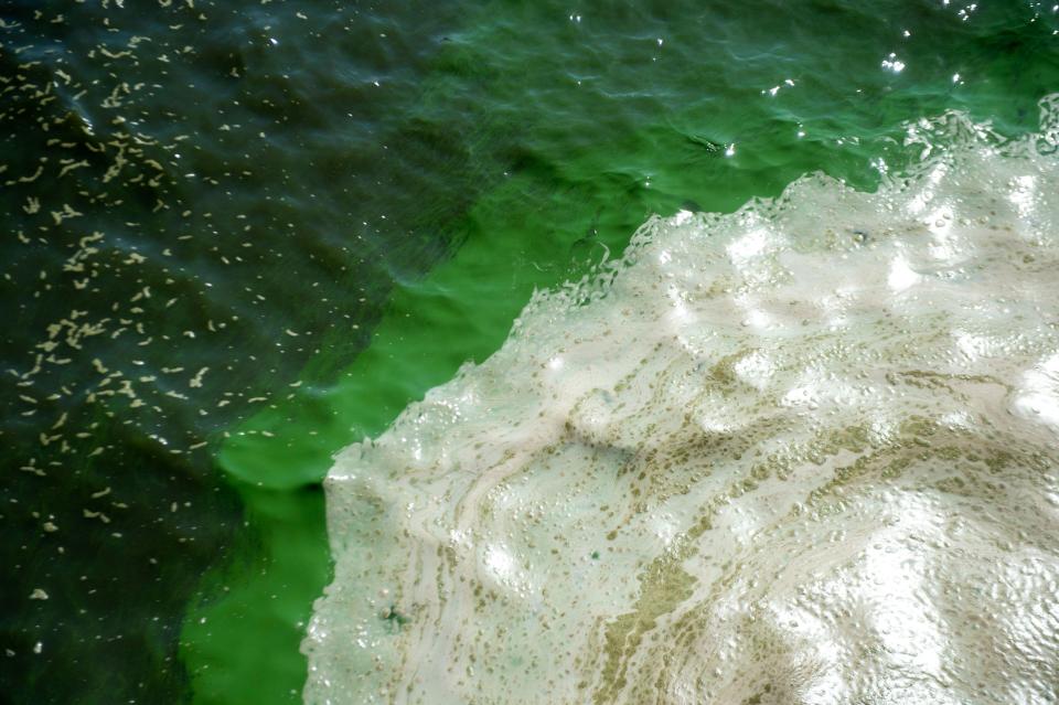 A bloom of cyanobacteria, or "blue-green algae," swirls in Lake Okeechobee on Tuesday, April 13, 2021, at the Port Mayaca Lock and Dam in Martin County. Mycrocistin, a common toxin found in cyanobacteria, is hazardous to marine life, humans, pets and businesses, and can travel up to 10 miles through the air, according to a University of Florida study.