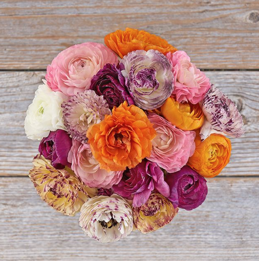 <p><a href="https://go.redirectingat.com?id=74968X1596630&url=https%3A%2F%2Fbouqs.com%2Fflowers%2Franunculus%2Fpink-yellow-purple-ranunculus&sref=https%3A%2F%2Fwww.countryliving.com%2Fshopping%2Fgifts%2Fg1461%2Fgraduation-gift-ideas%2F" rel="nofollow noopener" target="_blank" data-ylk="slk:Shop Now;elm:context_link;itc:0;sec:content-canvas" class="link ">Shop Now</a></p><p>Bouqs Celebration Bouquet</p><p>$79.00</p>