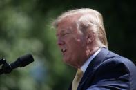 FILE PHOTO - U.S. President Trump hosts event about health coverage options for small businesses and workers during an event in the Rose Garden of the White House in Washington