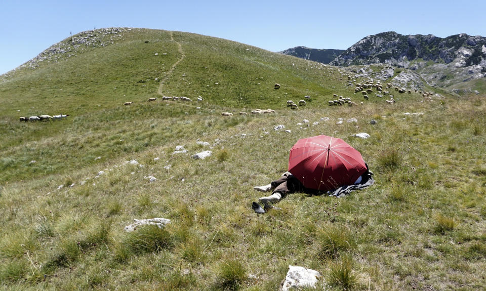 A shepherd rests under an umbrella on the Durmitor mountain, Montenegro, Friday, July 15, 2022. Authorities have warned of extremely hot temperatures in Montenegro and the rest of the Balkans. (AP Photo/Darko Vojinovic)