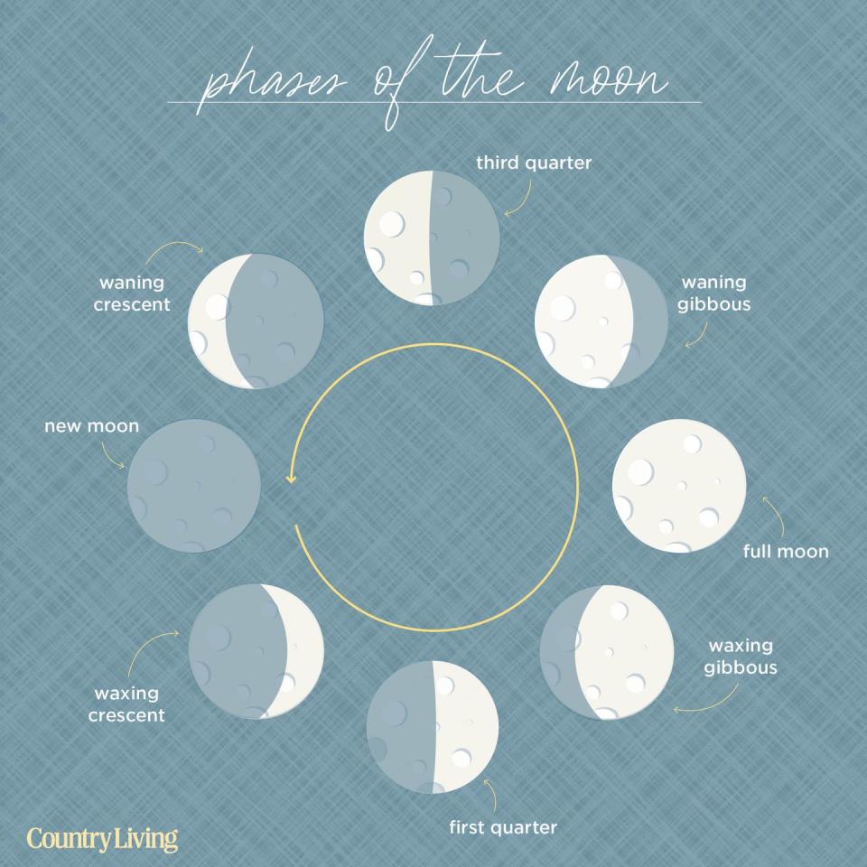 diagram with eight moon phases, starting with new moon, arranged in circle with arrow indicating counterclockwise movement