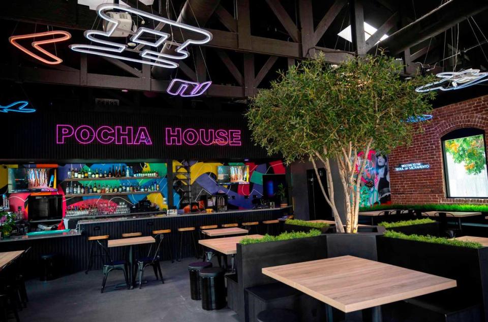 Pocha House, a new Korean pub and restaurant that recently opened in Midtown, has neon signs that hang from the ceiling and an olive tree in the dining area Tuesday, June 6, 2023.